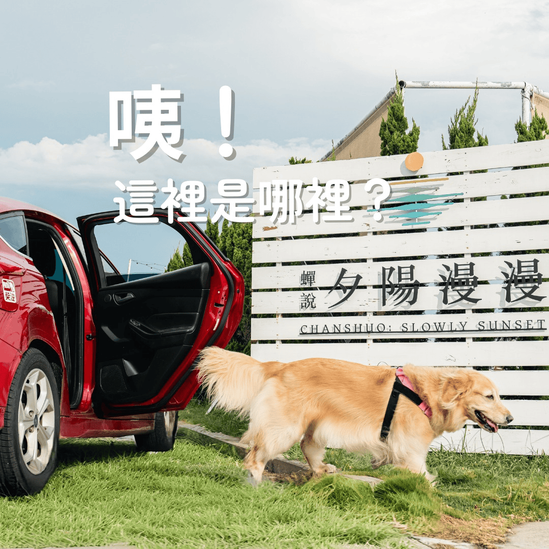 蟬說：夕陽漫漫豪華寵物友善露營區