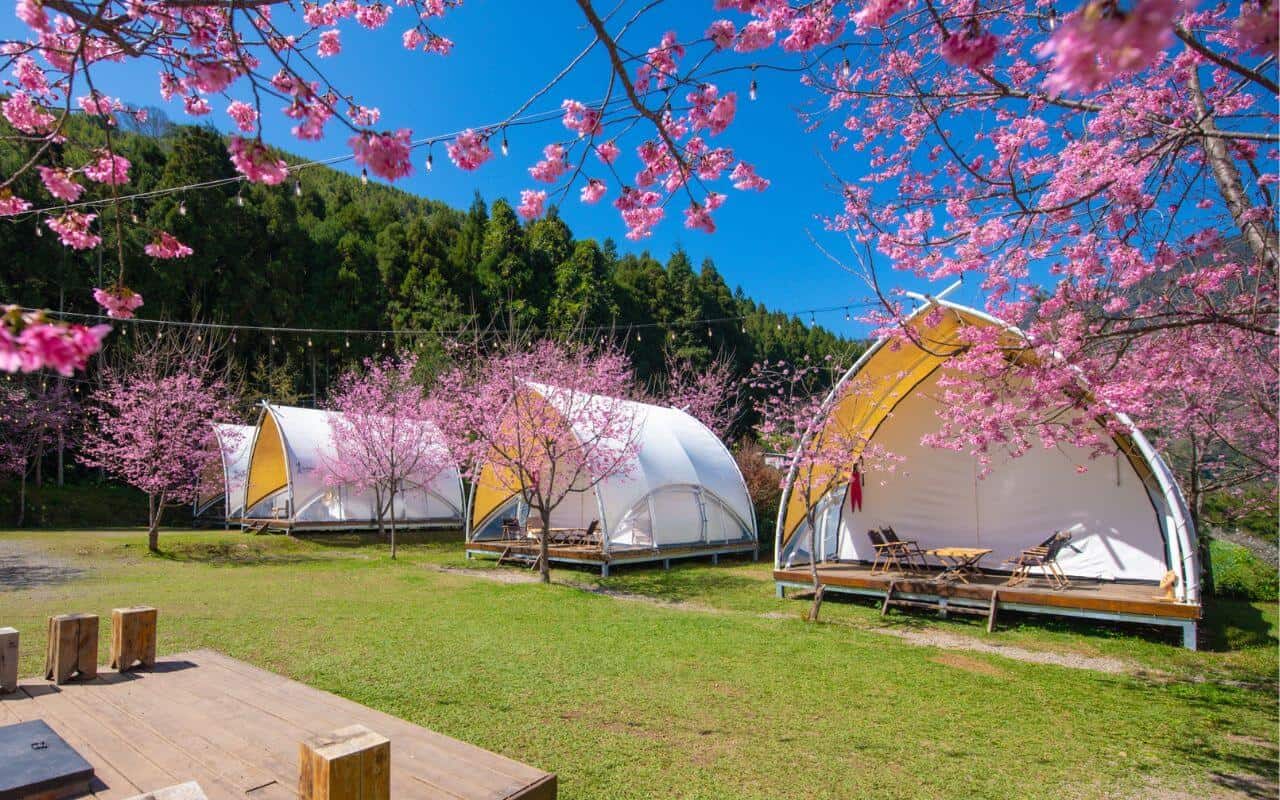 2026 Glamping 攻略指南:第一次玩 Glamping 就上手! 14 《蟬說:霧語》
