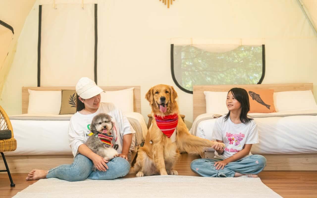 2026 Glamping 攻略指南:第一次玩 Glamping 就上手! 7 寵物可以進帳篷的Glamping