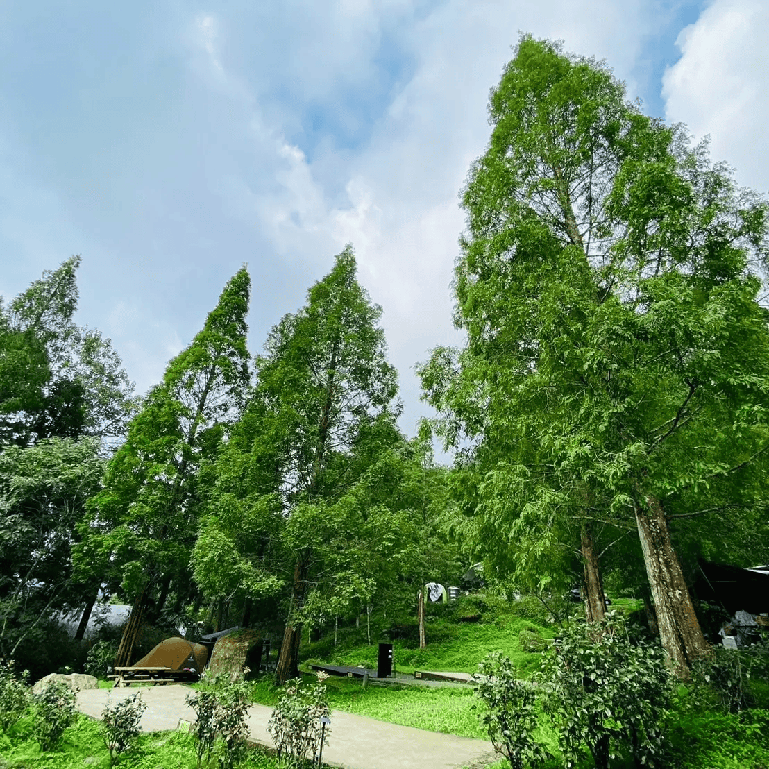 2026 Glamping 攻略指南:第一次玩 Glamping 就上手! 17 森林系Glamping