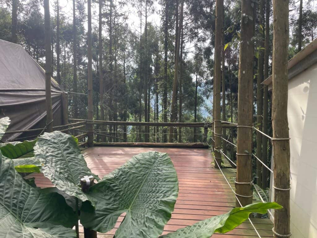 森林系露營區－杉彩露營區－被森林包圍的一帳包區的空中棧板營位