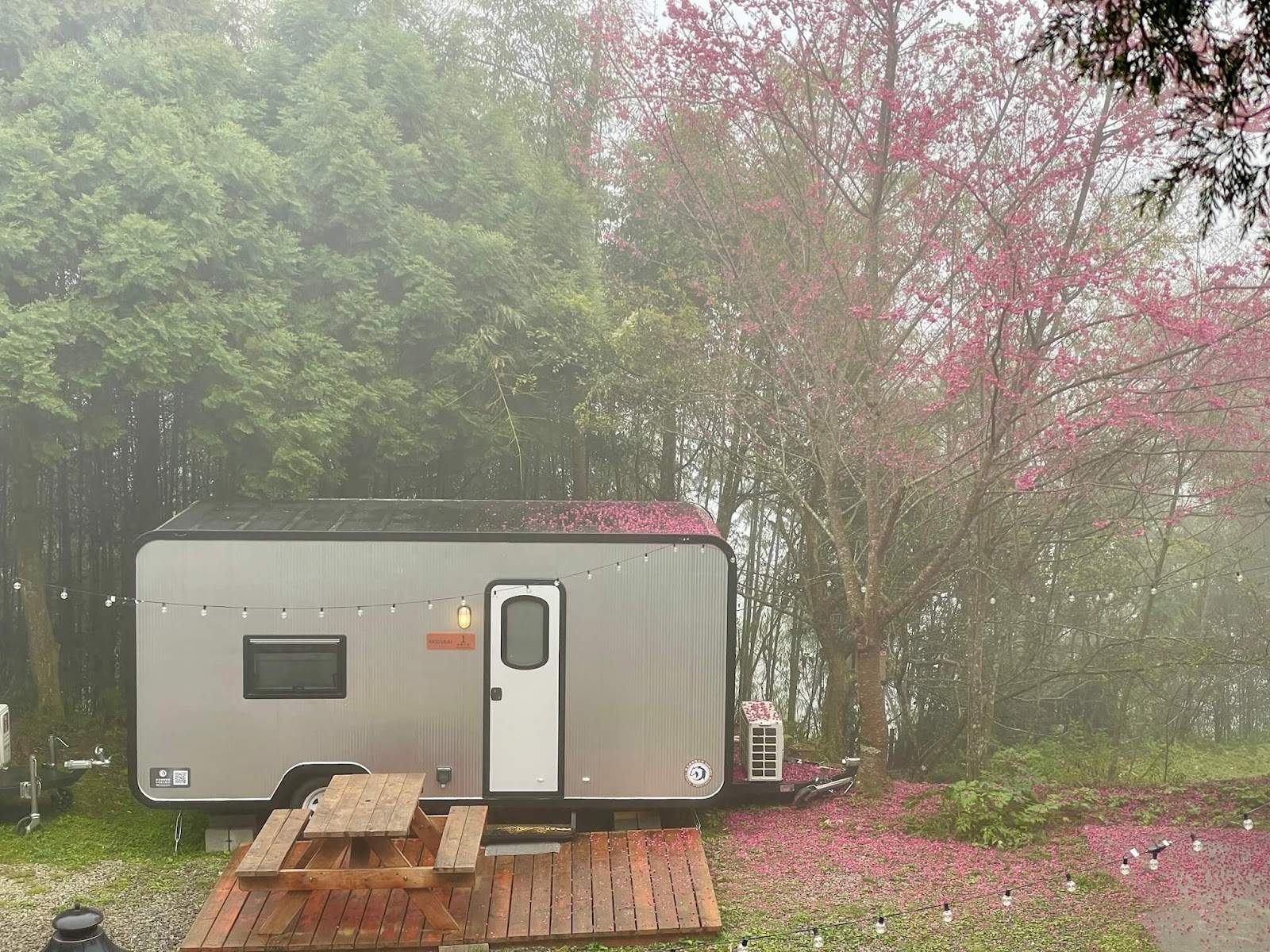 櫻花樹下的豪華露營車