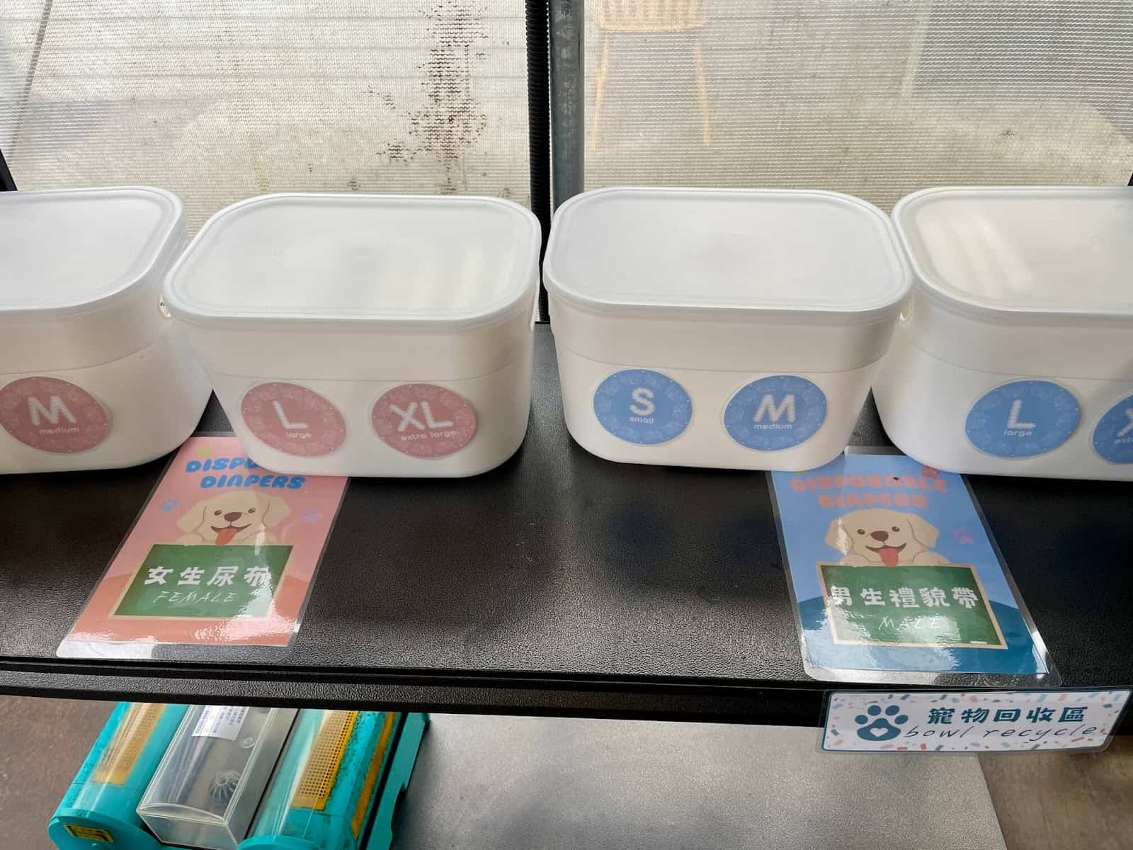 狗狗的尿布與禮貌帶