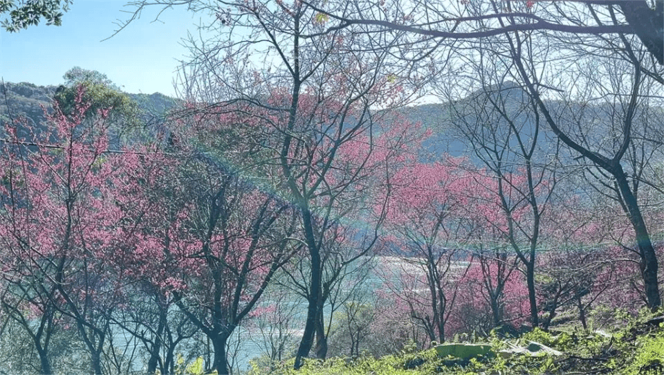 花蓮玉山神學院