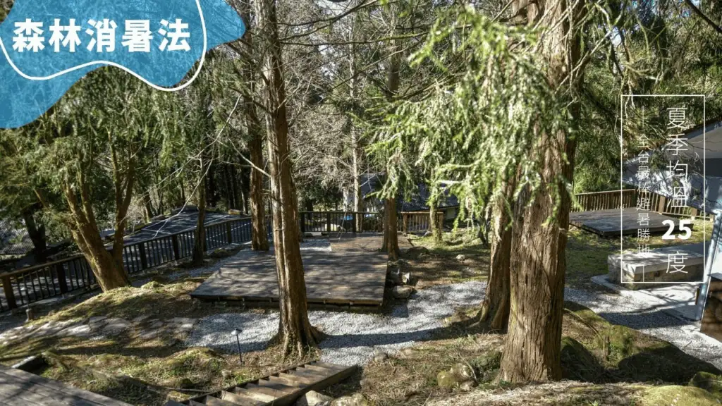 溪頭生態露營區