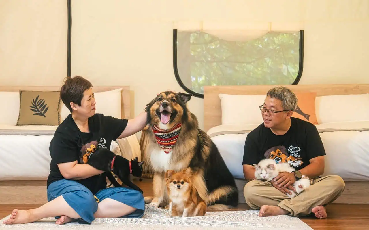 狗狗入住豪華帳篷