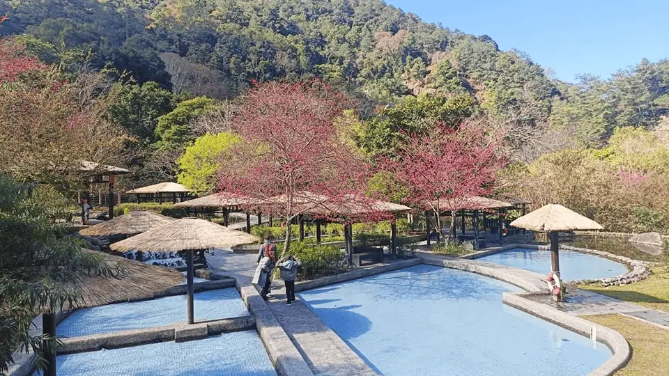 八仙山國家森林遊樂區內設有親水區，適合全家大小夏季避暑遊玩。　
