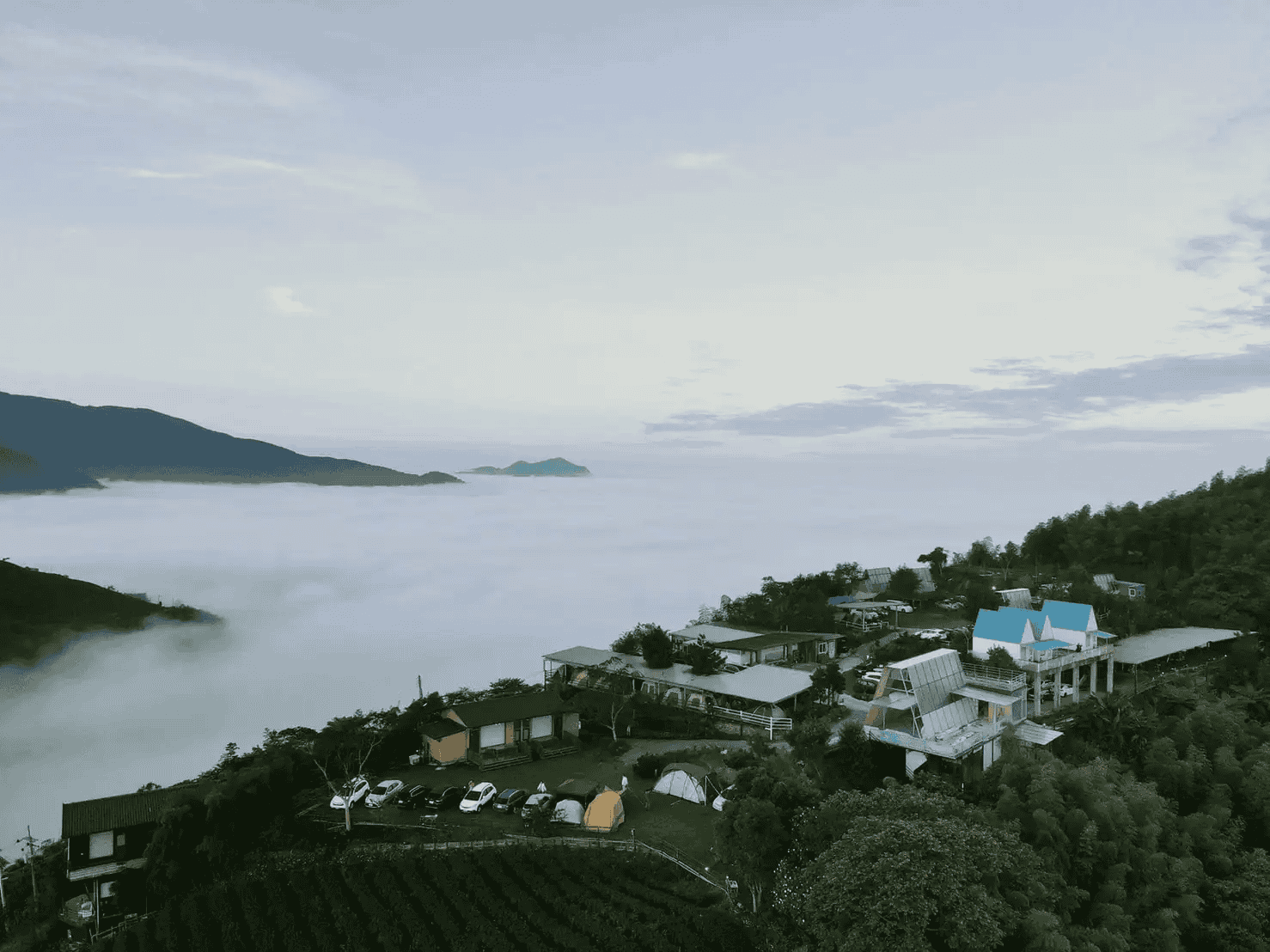 有雲海、竹林與茶園景觀的露營區
