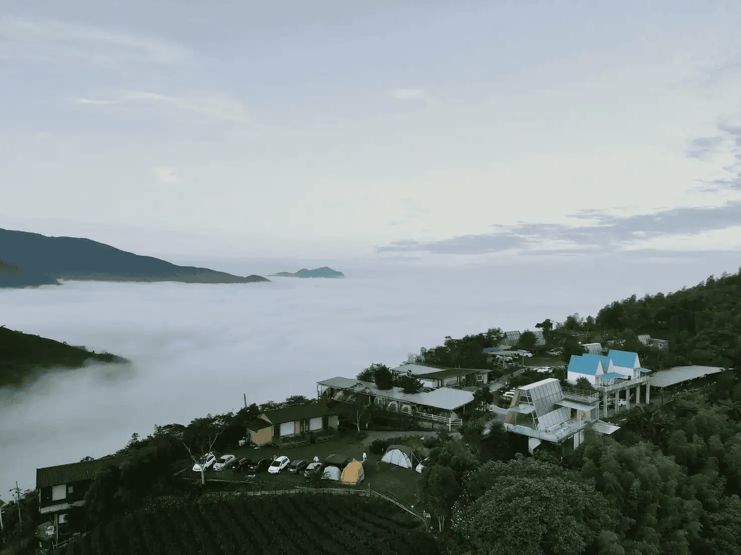 有雲海、竹林與茶園景觀的露營區