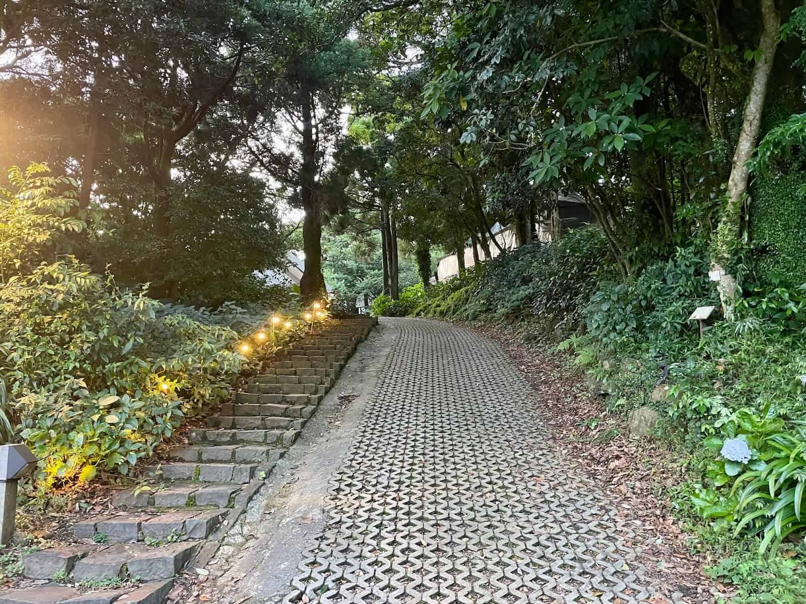前往森浴區的森林步道