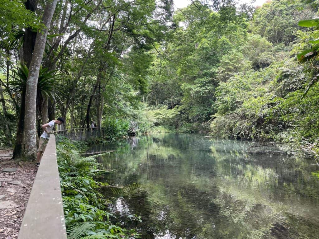 四十二份冷泉湧泉池