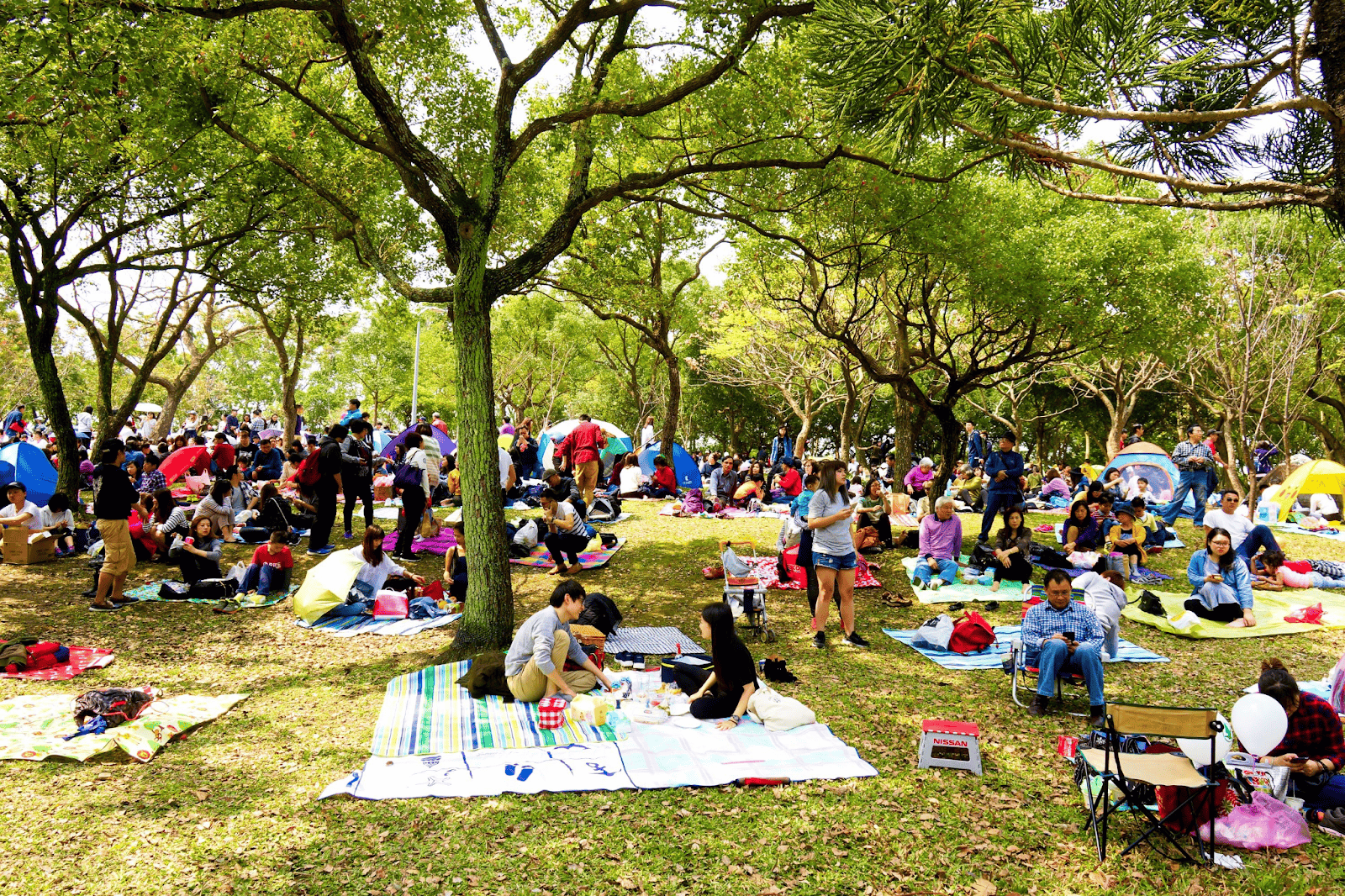 台北野餐地點-大安森林公園