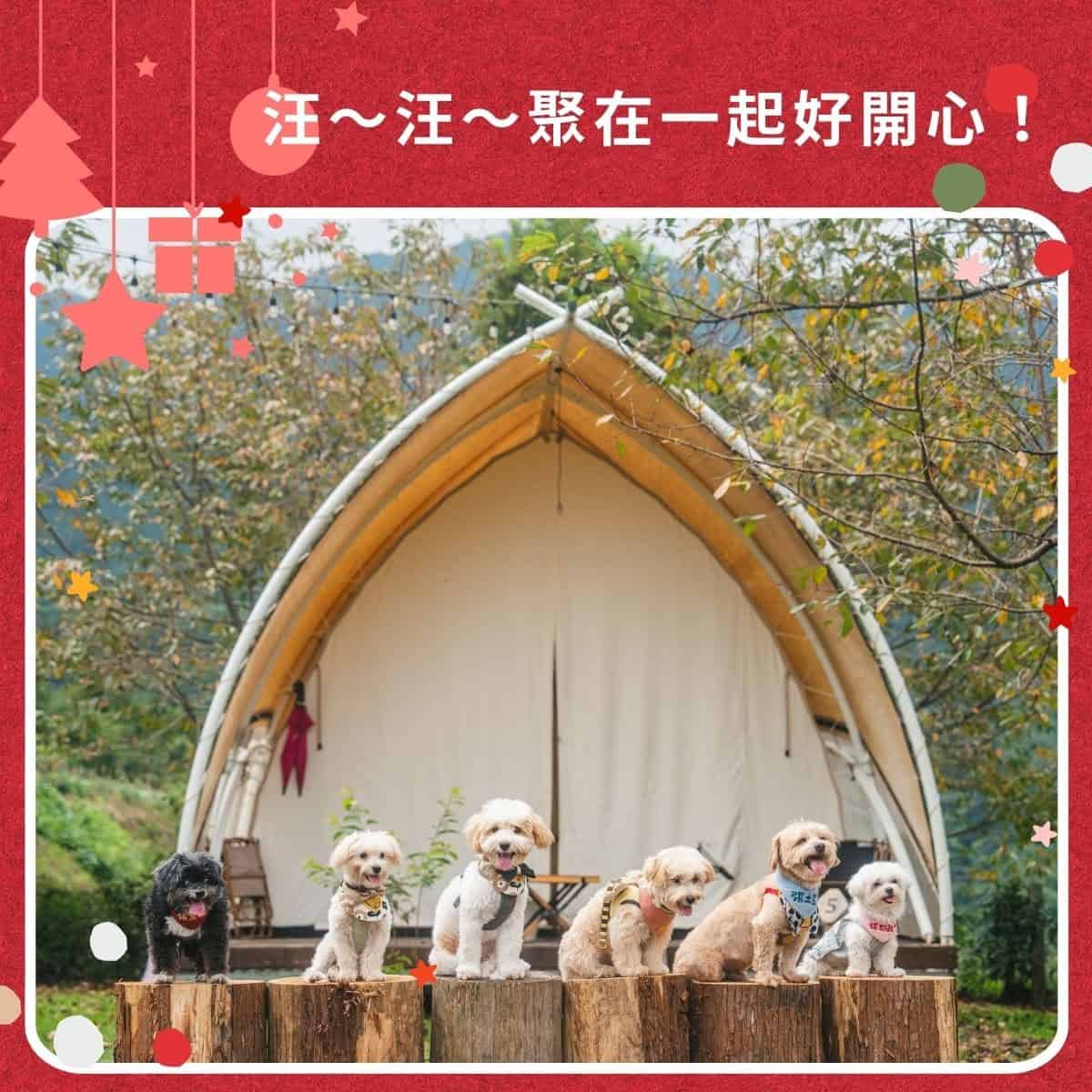 蟬說 新竹寵物友善露營